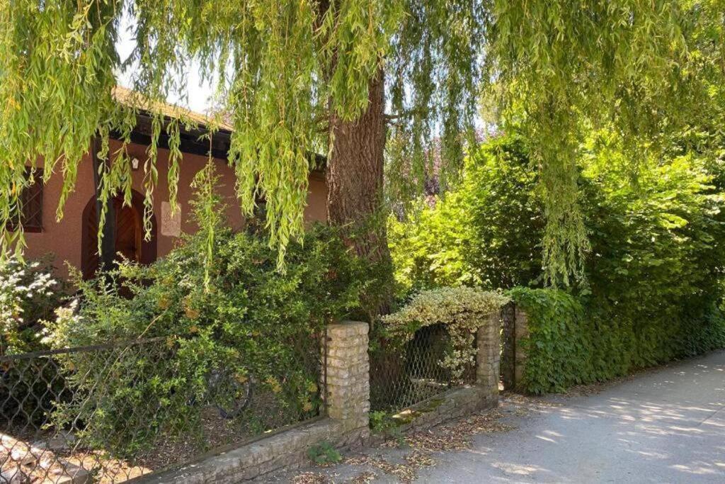 Gartenwohnung 5 Min. Zur Stadt Hagenau Exterior foto